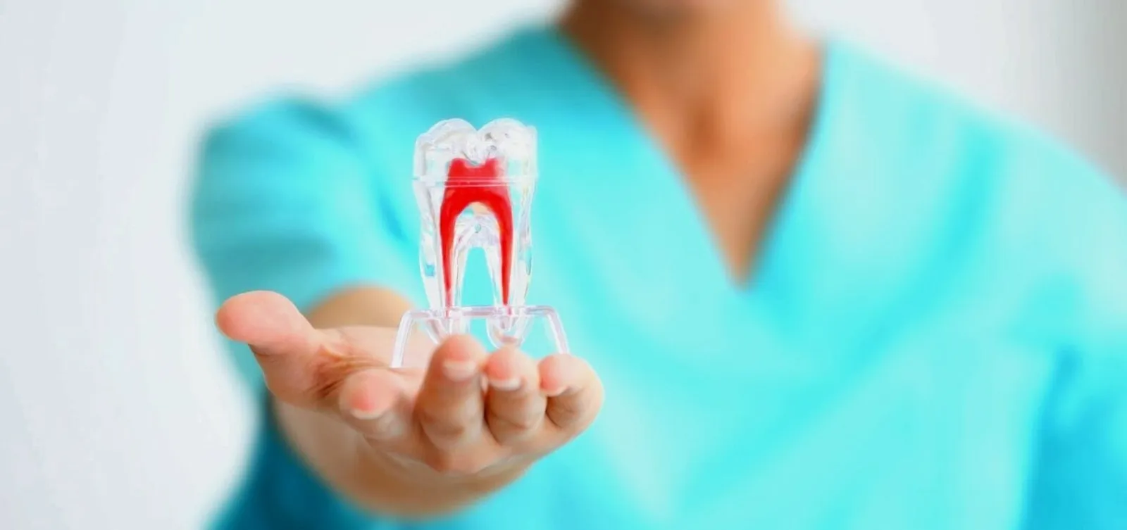 Root Canal Therapy - Dentist Muhammet Akturk - Trabzon - Turkey