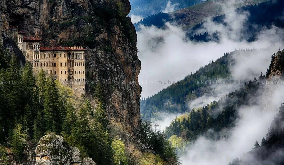 Muhammet Akturk - Dentist - Trabzon - Turkey